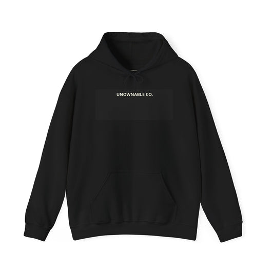 Freedom Isn't For Sale Hoodie — Oversized Fit | Premium Comfort